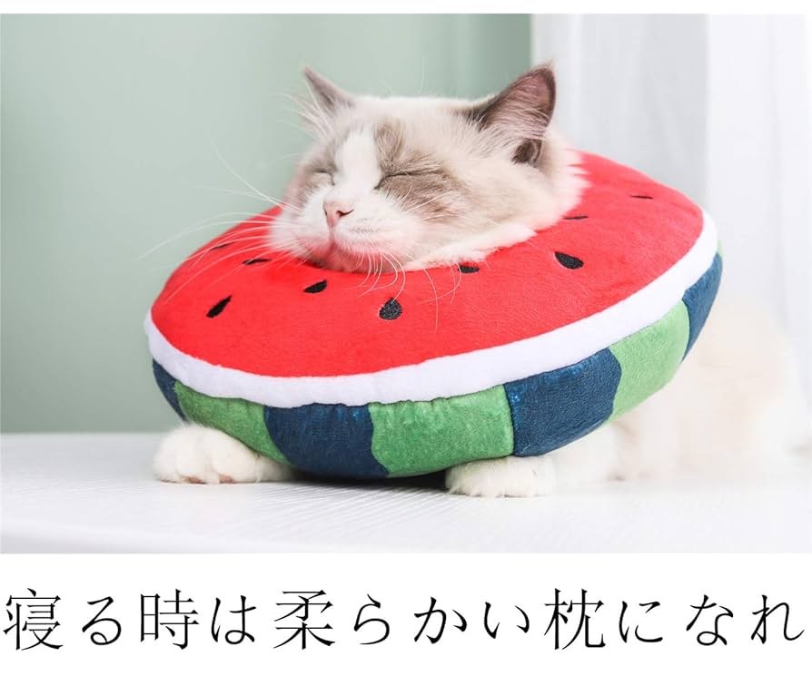 猫 犬 エリザベスカラー エリザベス クッション 柔らかい 軽い スイカ ＸＳ 楽天市場】柔らかい ソフト 犬 猫 エリザベスカラー ソフト